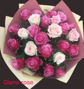 Букет из 25 белых и розовых голландских роз